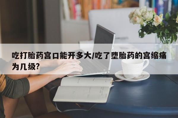 正品私人卖打胎药微信吃打胎药宫口能开多大/吃了堕胎药的宫缩痛为几级?