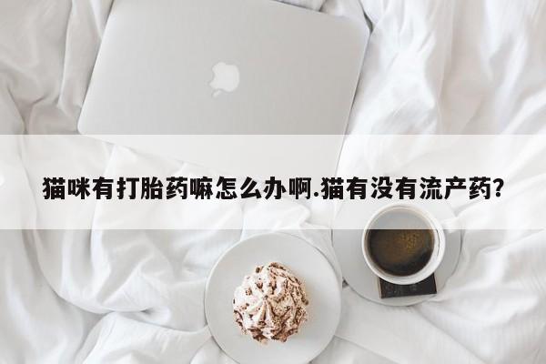 正品私人卖打胎药微信猫咪有打胎药嘛怎么办啊.猫有没有流产药？