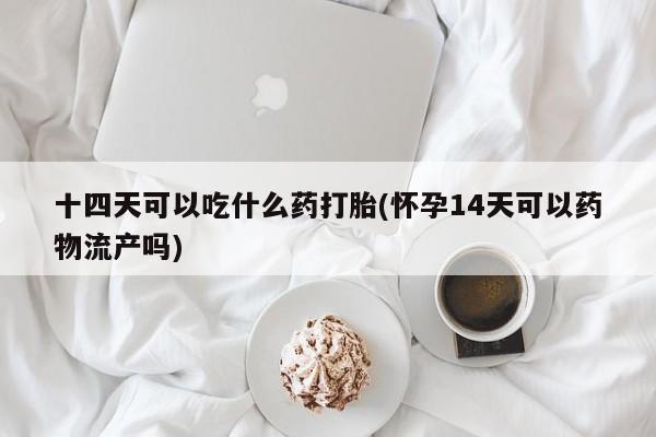 正品私人卖打胎药微信十四天可以吃什么药打胎(怀孕14天可以药物流产吗)